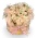 květinový box růží